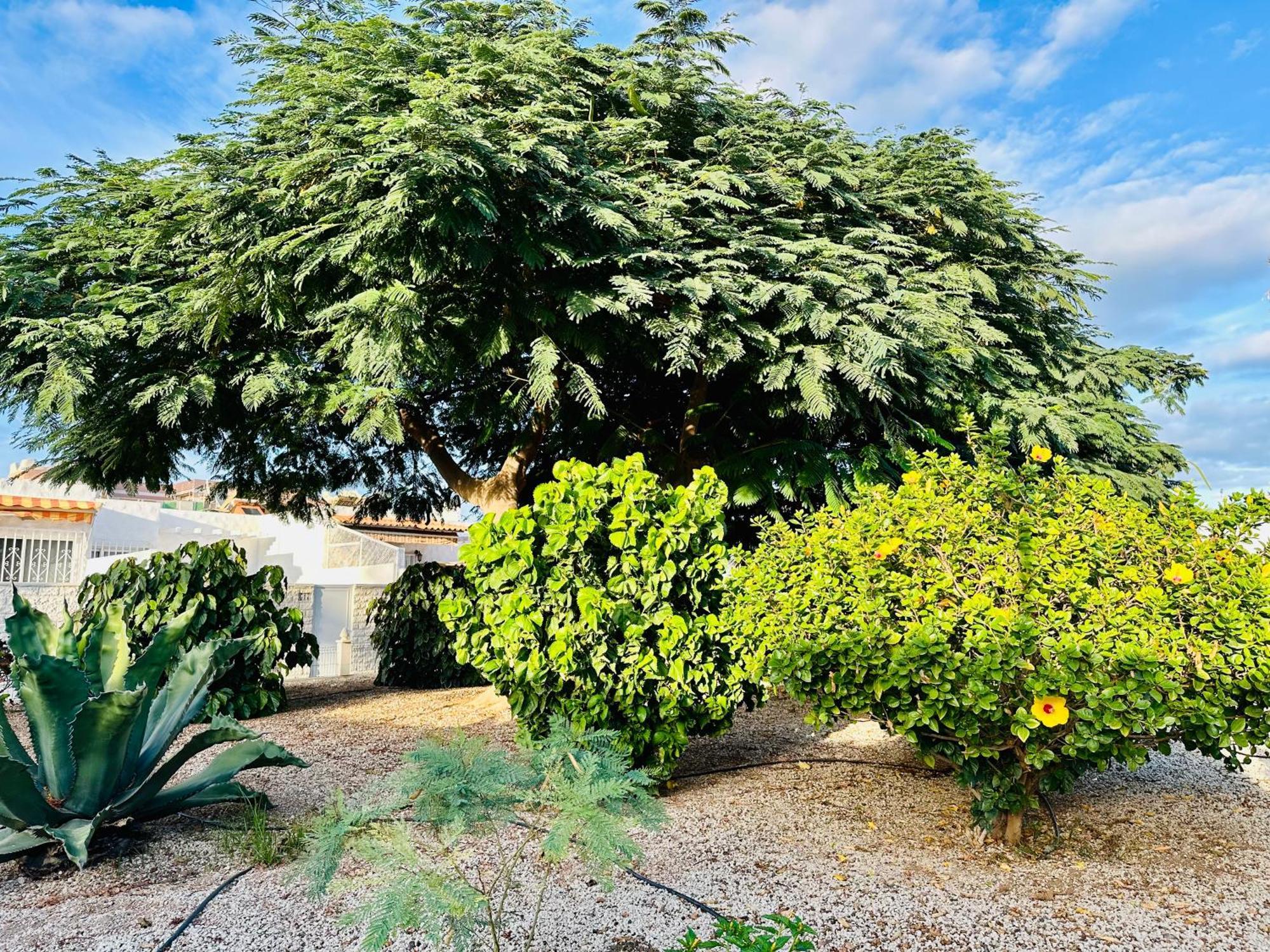 Casa Una Bungalow Delux Arona  Buitenkant foto